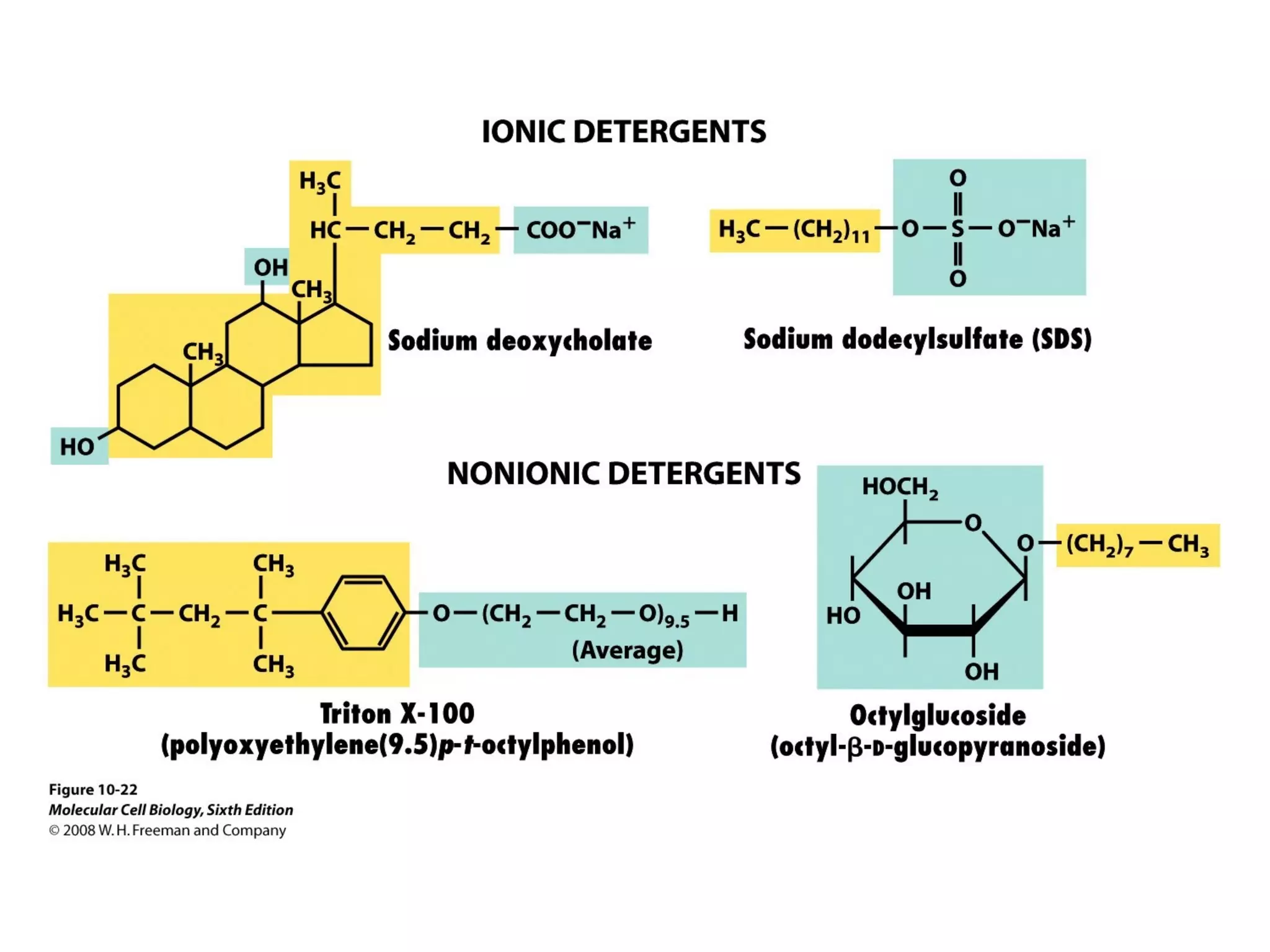 Chapter10 biomembranestructure-140105093829-phpapp02