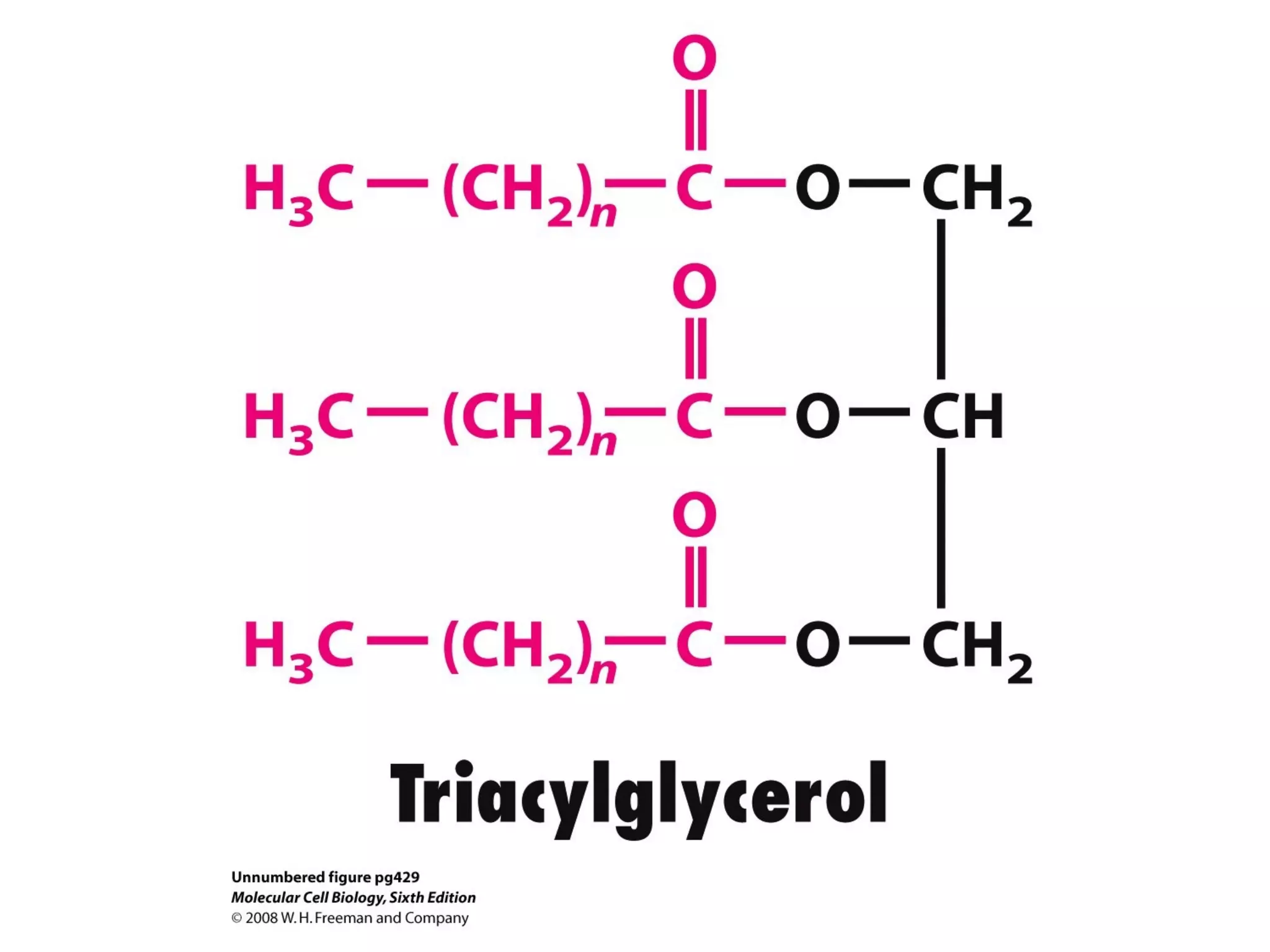 Chapter10 biomembranestructure-140105093829-phpapp02