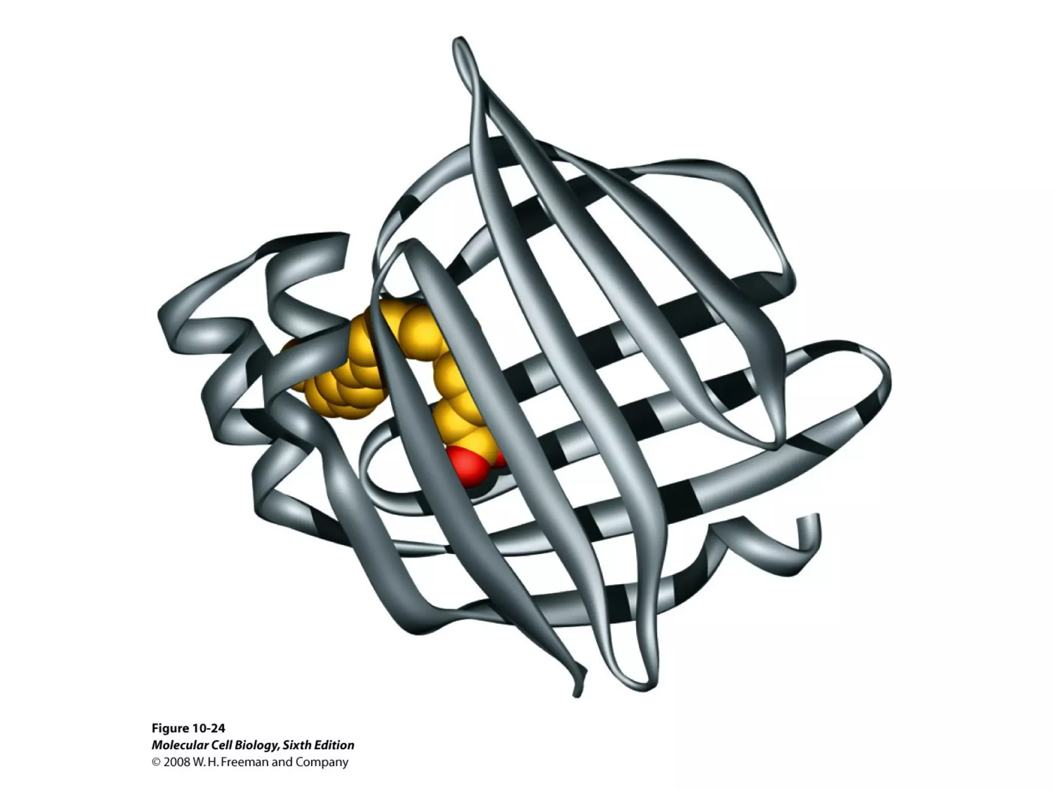 Chapter10 biomembranestructure-140105093829-phpapp02