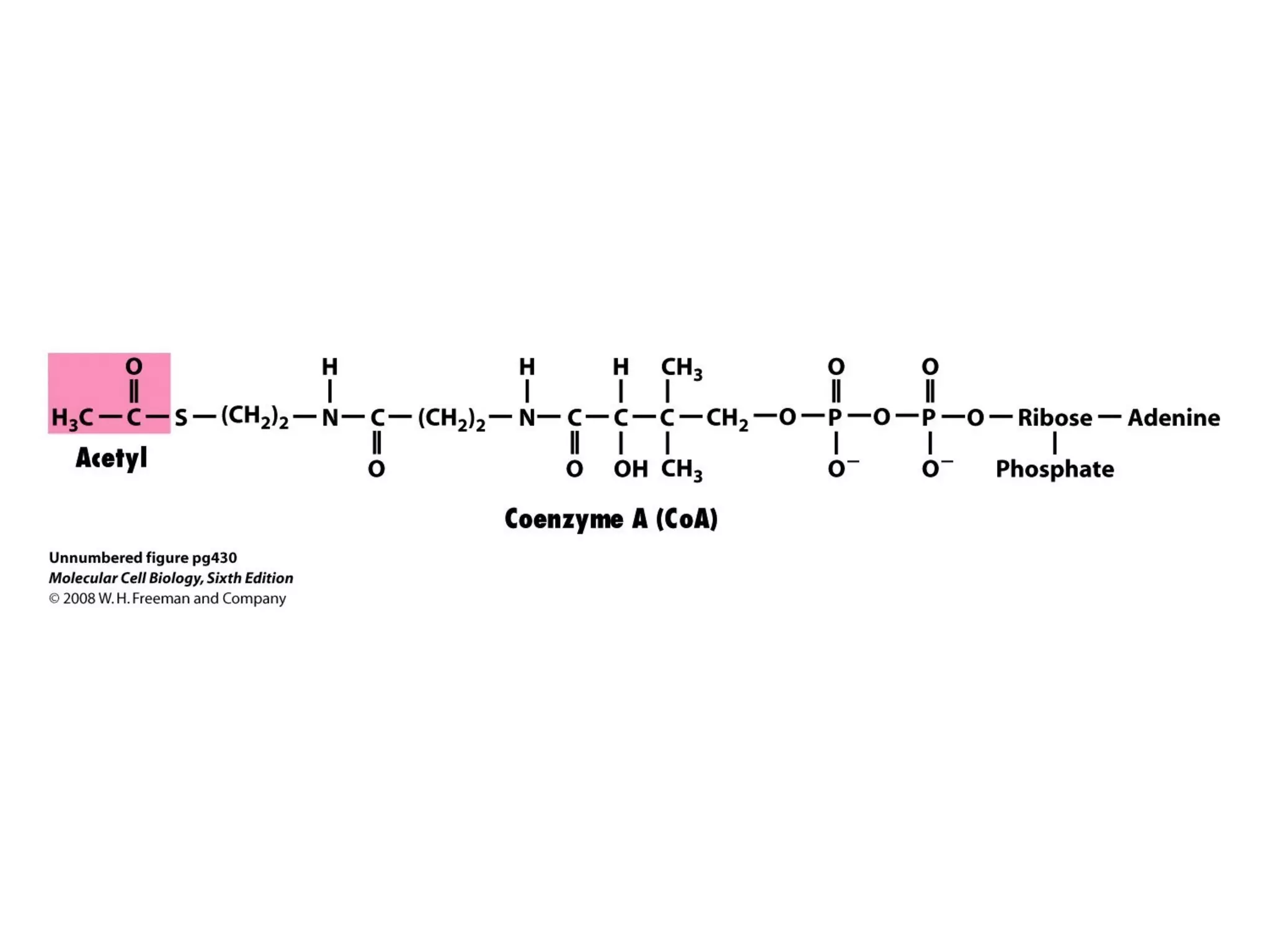 Chapter10 biomembranestructure-140105093829-phpapp02