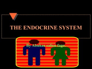 THE ENDOCRINE SYSTEM
By Abukar salisu fago.
 