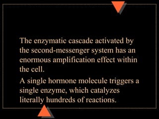 The enzymatic cascade activated by
the second-messenger system has an
enormous amplification effect within
the cell.
A single hormone molecule triggers a
single enzyme, which catalyzes
literally hundreds of reactions.
 