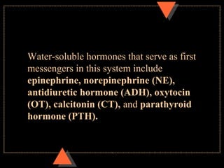 Water-soluble hormones that serve as first
messengers in this system include
epinephrine, norepinephrine (NE),
antidiuretic hormone (ADH), oxytocin
(OT), calcitonin (CT), and parathyroid
hormone (PTH).
 