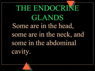 THE ENDOCRINE
GLANDS
Some are in the head,
some are in the neck, and
some in the abdominal
cavity.
 