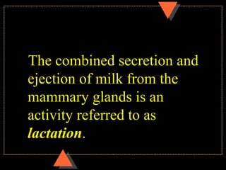 The combined secretion and
ejection of milk from the
mammary glands is an
activity referred to as
lactation.
 