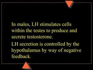 In males, LH stimulates cells
within the testes to produce and
secrete testosterone.
LH secretion is controlled by the
hypothalamus by way of negative
feedback.
 