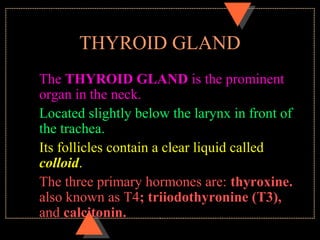 THYROID GLAND
The THYROID GLAND is the prominent
organ in the neck.
Located slightly below the larynx in front of
the trachea.
Its follicles contain a clear liquid called
colloid.
The three primary hormones are: thyroxine.
also known as T4; triiodothyronine (T3),
and calcitonin.
 