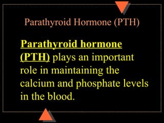 Parathyroid Hormone (PTH)
Parathyroid hormone
(PTH) plays an important
role in maintaining the
calcium and phosphate levels
in the blood.
 
