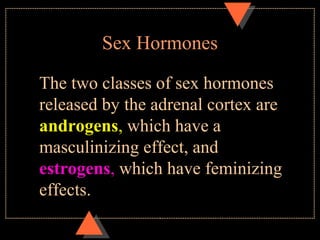Sex Hormones
The two classes of sex hormones
released by the adrenal cortex are
androgens, which have a
masculinizing effect, and
estrogens, which have feminizing
effects.
 