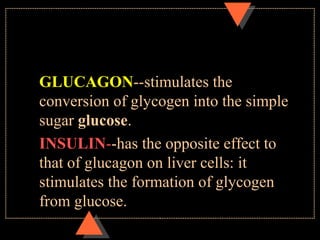 GLUCAGON--stimulates the
conversion of glycogen into the simple
sugar glucose.
INSULIN--has the opposite effect to
that of glucagon on liver cells: it
stimulates the formation of glycogen
from glucose.
 