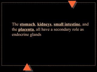 The stomach, kidneys, small intestine, and
the placenta, all have a secondary role as
endocrine glands
 