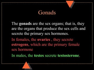 Gonads
The gonads are the sex organs; that is, they
are the organs that produce the sex cells and
secrete the primary sex hormones.
In females, the ovaries , they secrete
estrogens, which are the primary female
sex hormone
In males, the testes secrete testosterone.
 