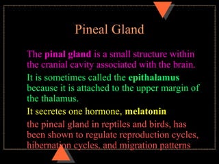 Pineal Gland
The pinal gland is a small structure within
the cranial cavity associated with the brain.
It is sometimes called the epithalamus
because it is attached to the upper margin of
the thalamus.
It secretes one hormone, melatonin
the pineal gland in reptiles and birds, has
been shown to regulate reproduction cycles,
hibernation cycles, and migration patterns
 