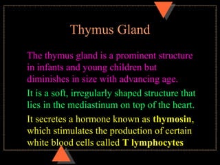 Thymus Gland
The thymus gland is a prominent structure
in infants and young children but
diminishes in size with advancing age.
It is a soft, irregularly shaped structure that
lies in the mediastinum on top of the heart.
It secretes a hormone known as thymosin,
which stimulates the production of certain
white blood cells called T lymphocytes
 
