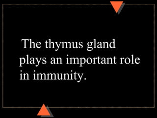 The thymus gland
plays an important role
in immunity.
 