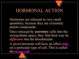 HORMONAL ACTION
Hormones are released in very small
quantities, because they are extremely
potent compounds.
Once released by secretory cells into the
extracellular space, they find their way by
diffusion into the bloodstream.
A given hormone will have an effect only
on a particular type of cell. This is called
the target cell.
 