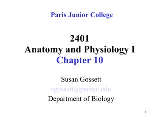 Chapter 10 Nervous System I - Basic Structure and Function | PPT