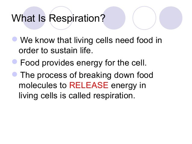 Chapter 10 Respiration