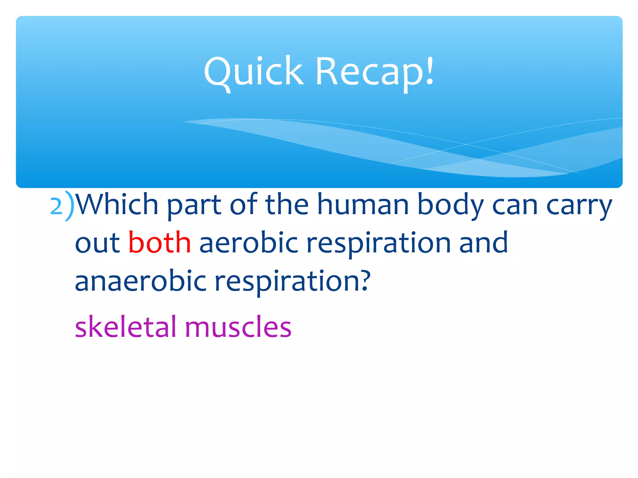 Quick Recap!
2)Which part of the human body can carry
out both aerobic respiration and
anaerobic respiration?
skeletal muscles
 