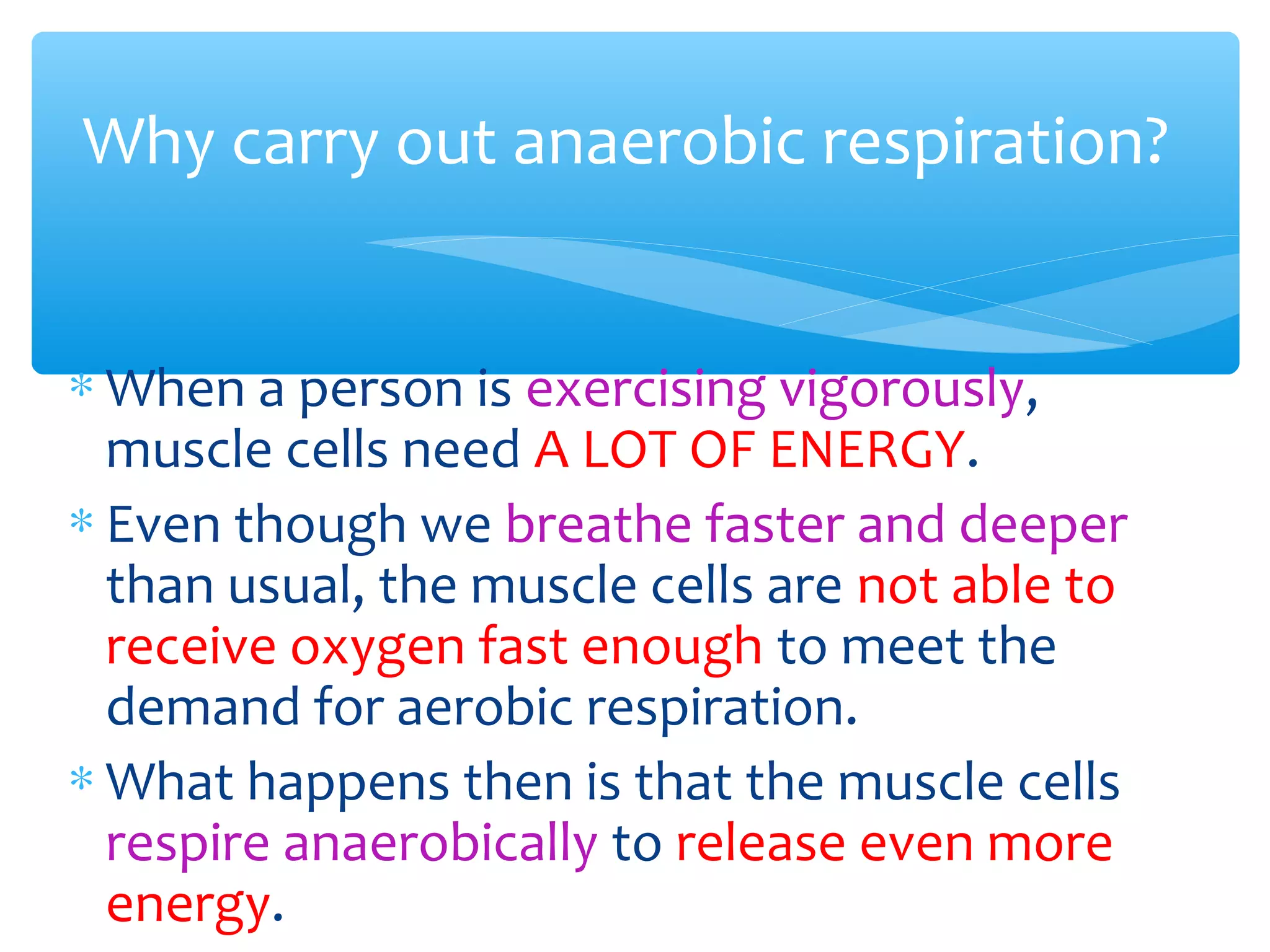 ∗ When a person is exercising vigorously,
muscle cells need A LOT OF ENERGY.
∗ Even though we breathe faster and deeper
than usual, the muscle cells are not able to
receive oxygen fast enough to meet the
demand for aerobic respiration.
∗ What happens then is that the muscle cells
respire anaerobically to release even more
energy.
Why carry out anaerobic respiration?
 
