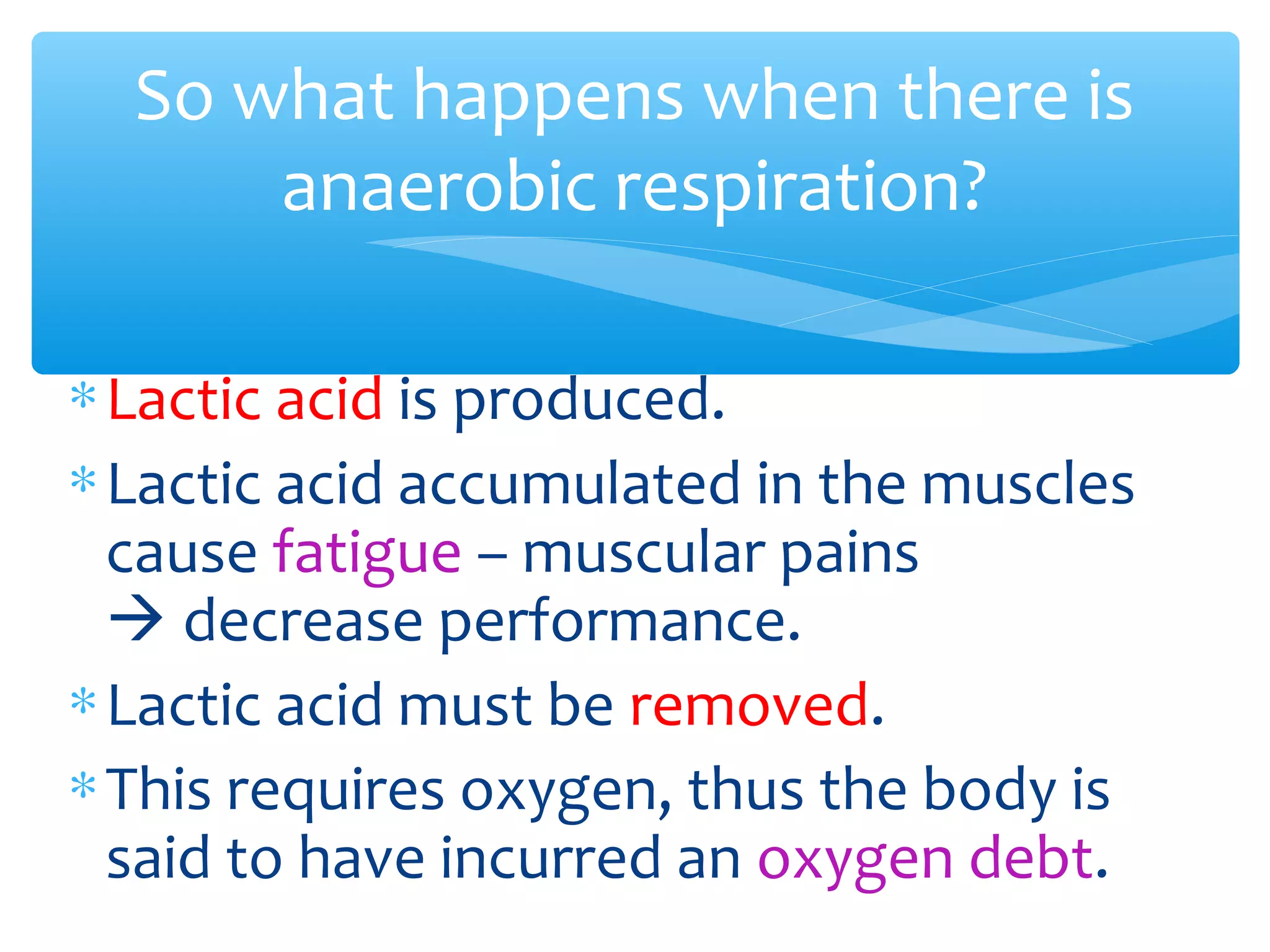∗Lactic acid is produced.
∗Lactic acid accumulated in the muscles
cause fatigue – muscular pains
 decrease performance.
∗Lactic acid must be removed.
∗This requires oxygen, thus the body is
said to have incurred an oxygen debt.
So what happens when there is
anaerobic respiration?
 