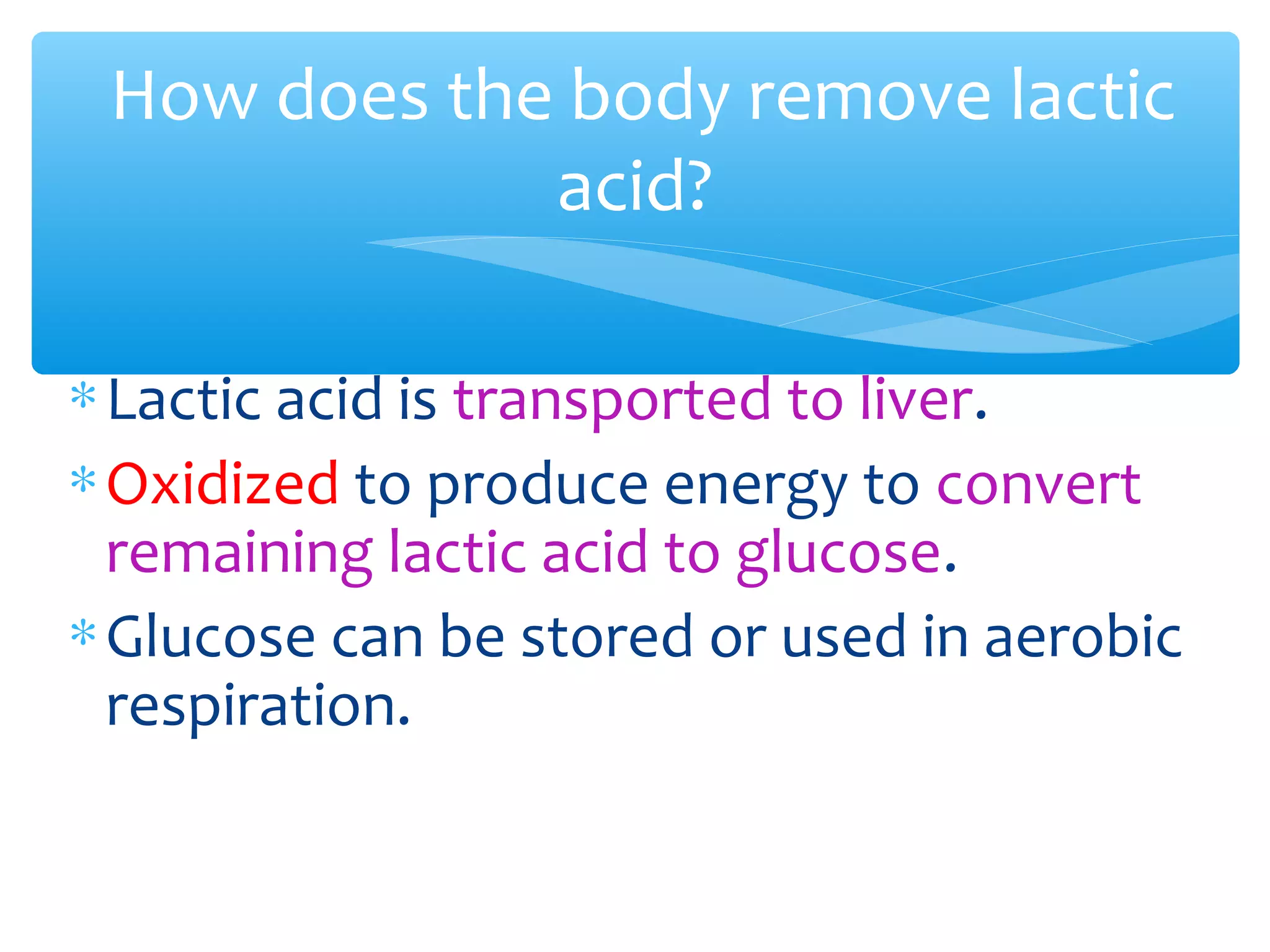 ∗Lactic acid is transported to liver.
∗Oxidized to produce energy to convert
remaining lactic acid to glucose.
∗Glucose can be stored or used in aerobic
respiration.
How does the body remove lactic
acid?
 
