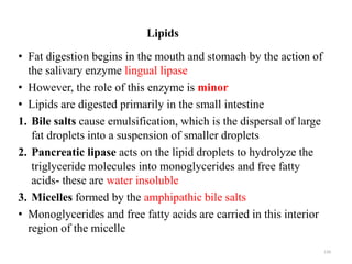 Lipids
• Fat digestion begins in the mouth and stomach by the action of
the salivary enzyme lingual lipase
• However, the ...