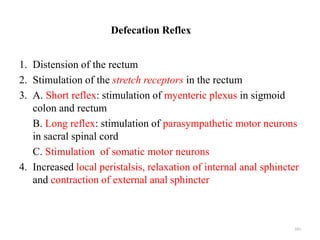 Defecation Reflex
1. Distension of the rectum
2. Stimulation of the stretch receptors in the rectum
3. A. Short reflex: st...