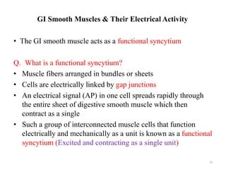 GI Smooth Muscles & Their Electrical Activity
• The GI smooth muscle acts as a functional syncytium
Q. What is a functiona...