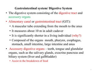 Gastrointestinal system/ Digestive System
• The digestive system consisting of the digestive tract and
accessory organs
• ...