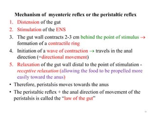 Mechanism of myenteric reflex or the peristaltic reflex
1. Distension of the gut
2. Stimulation of the ENS
3. The gut wall...