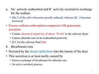a. Na+ actively reabsorbed and K+ actively secreted in exchange
for the sodium
• [Na+] of the saliva becomes greatly reduc...