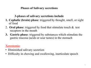 Phases of Salivary secretions
3-phases of salivary secretions include
1. Cephalic (brain) phase: triggered by thought, sme...