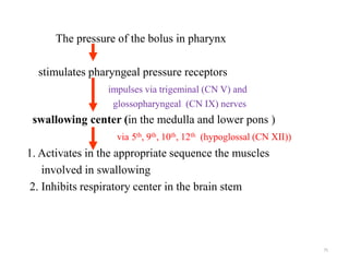 The pressure of the bolus in pharynx
stimulates pharyngeal pressure receptors
impulses via trigeminal (CN V) and
glossopha...