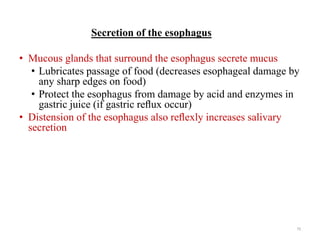 Secretion of the esophagus
• Mucous glands that surround the esophagus secrete mucus
• Lubricates passage of food (decreas...
