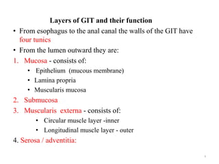 Layers of GIT and their function
• From esophagus to the anal canal the walls of the GIT have
four tunics
• From the lumen...