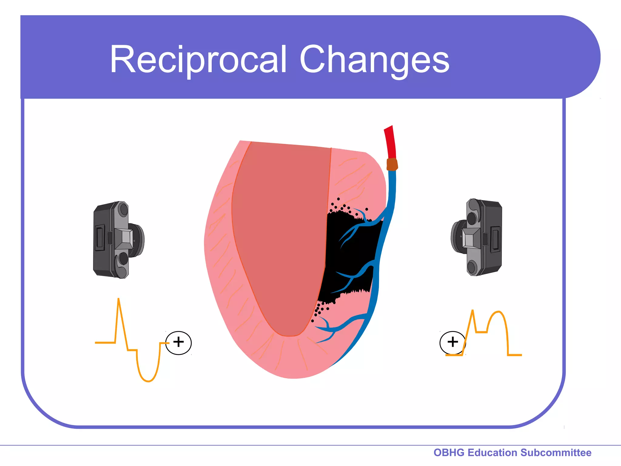 Reciprocal Changes 
OBHG Education Subcommittee 
 