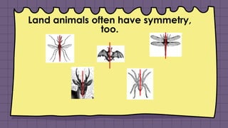 Land animals often have symmetry,
too.
 