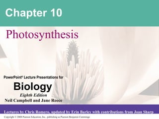 Chapter 10 Photosynthesis 