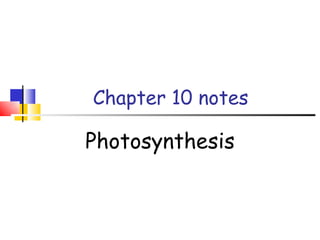Chapter 10 notes Photosynthesis 