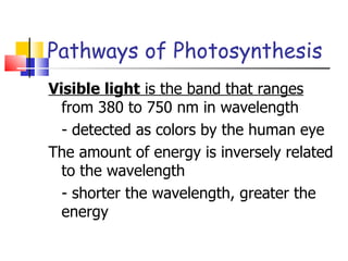 Pathways of Photosynthesis Visible light  is the band that ranges  from 380 to 750 nm in wavelength - detected as colors by the human eye The amount of energy is inversely related to the wavelength - shorter the wavelength, greater the energy 