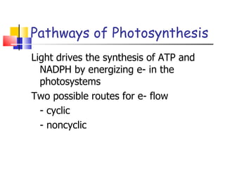 Pathways of Photosynthesis Light drives the synthesis of ATP and NADPH by energizing e- in the photosystems Two possible routes for e- flow - cyclic - noncyclic 