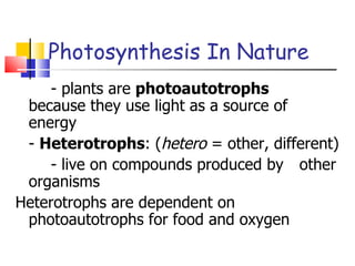 Photosynthesis In Nature - plants are  photoautotrophs  because they use light as a source of  energy -  Heterotrophs : ( hetero  = other, different) - live on compounds produced by  other organisms Heterotrophs are dependent on photoautotrophs for food and oxygen 