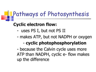 Pathways of Photosynthesis Cyclic electron flow: -  uses PS I, but not PS II - makes ATP, but not NADPH or oxygen -  cyclic photophosphorylation - because the Calvin cycle uses more ATP than NADPH, cyclic e- flow makes up the difference 