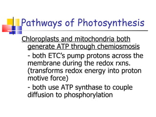 Pathways of Photosynthesis Chloroplasts and mitochondria both generate ATP through chemiosmosis - both ETC’s pump protons across the membrane during the redox rxns. (transforms redox energy into proton motive force) - both use ATP synthase to couple diffusion to phosphorylation 