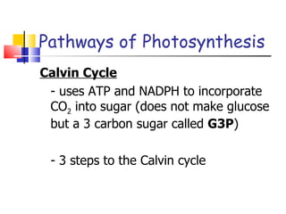 Pathways of Photosynthesis Calvin Cycle - uses ATP and NADPH to incorporate CO 2  into sugar (does not make glucose but a 3 carbon sugar called  G3P ) - 3 steps to the Calvin cycle 