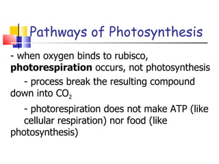Pathways of Photosynthesis - when oxygen binds to rubisco,  photorespiration  occurs, not photosynthesis - process break the resulting compound  down into CO 2 - photorespiration does not make ATP (like  cellular respiration) nor food (like  photosynthesis) 