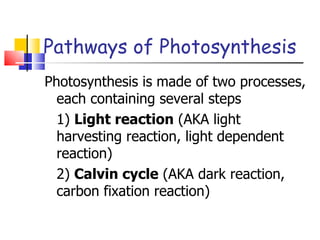 Pathways of Photosynthesis Photosynthesis is made of two processes, each containing several steps 1)  Light reaction  (AKA light harvesting reaction, light dependent reaction) 2)  Calvin cycle  (AKA dark reaction, carbon fixation reaction) 