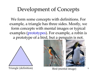 Chapter 10 ap psych- Thinking and Language | PPT