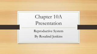 Chapter 10A
Presentation
Reproductive System
By Rosalind Jenkins
 